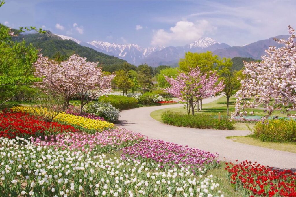 Garden at House: Essential Tips & Ideas to Create a Stunning Home Garden